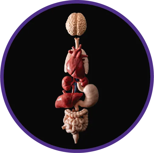Anatomic / Surgical Pathology