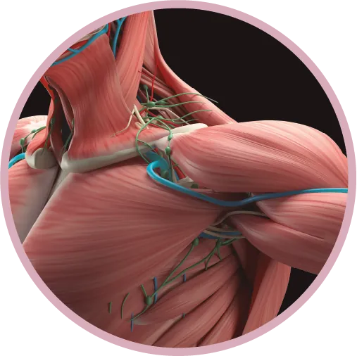 Soft Tissue Pathology