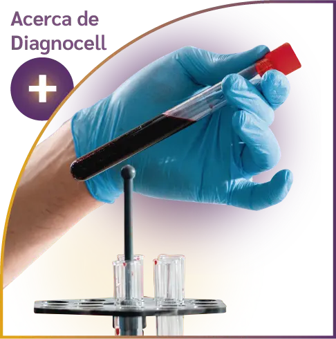 Diagnocell Laboratorios